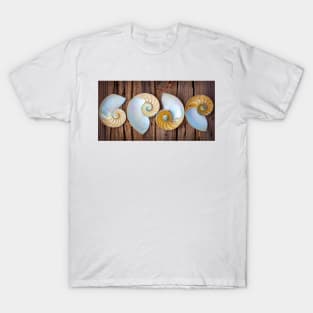 Four Chambered Nautilus Seashells T-Shirt